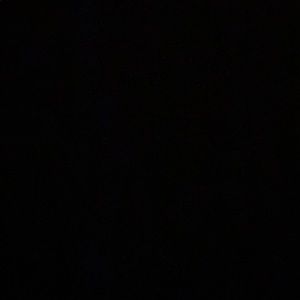 Meet your Posher, Gianna